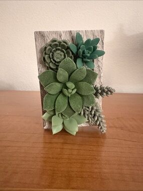Bath & Body Works Succulent Wallflower Plug